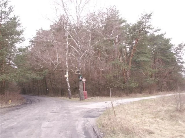 zdjęcia Kazimierza Dolnego (Mięćmierz)