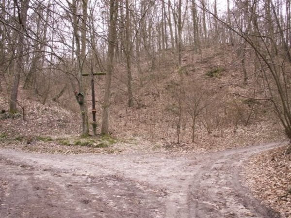 zdjęcia Kazimierza Dolnego (Mięćmierz)