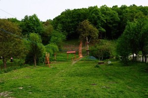 zdjęcie parku linowego