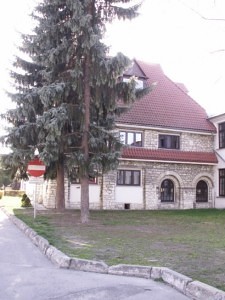 Koszczyc-Witkiewicz