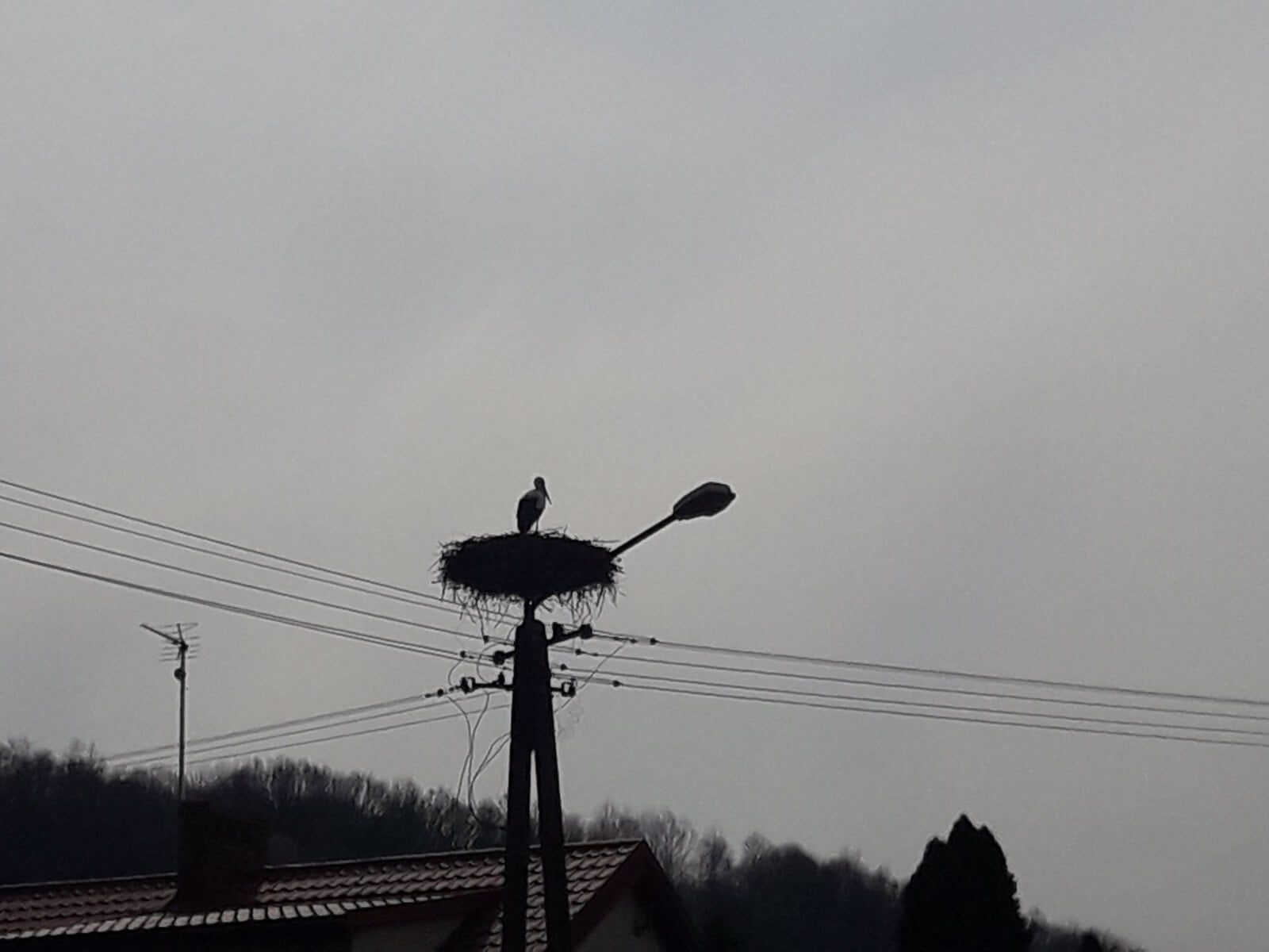 20190404_104319